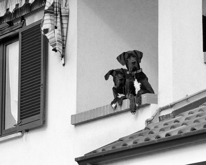 21A53DBB-5F1A-42FE-9F97-0CC9932268EE_1_201_a