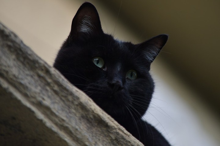 Daniela-Bosio-Quarantena-1-DSC_2583