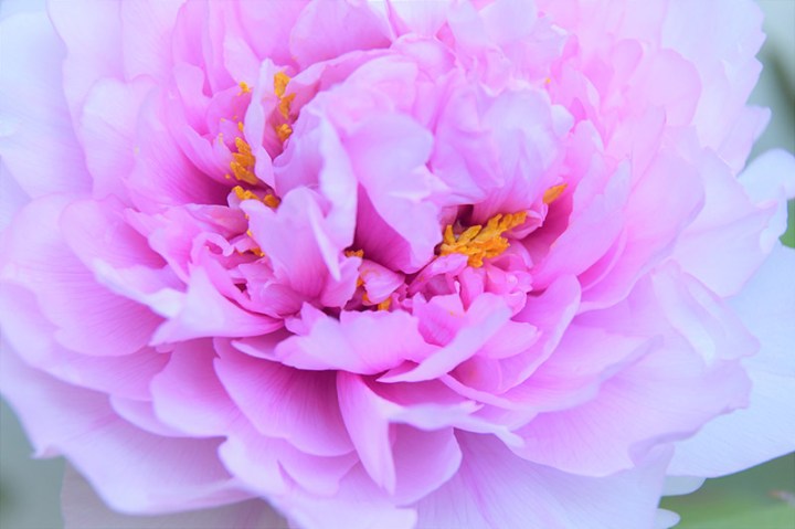 Giancarlo-Servino-02