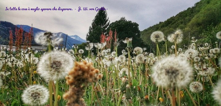 IMG_20200413_163236-01