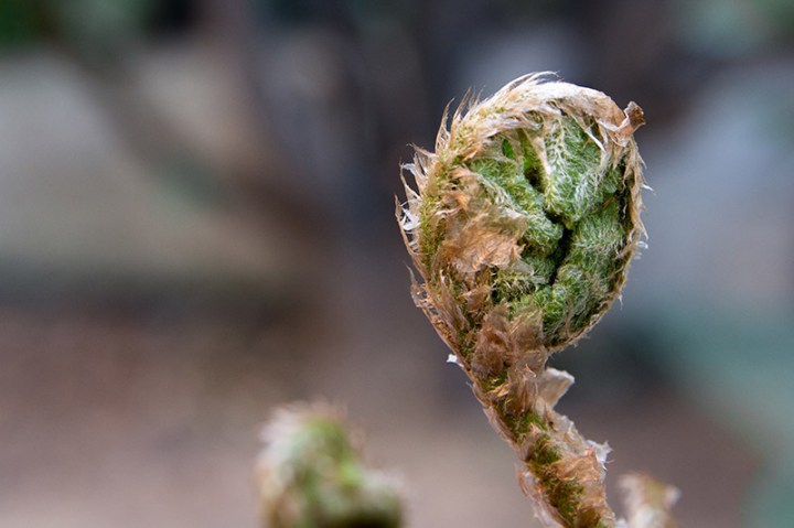 sergio-reggiani-foto2-quarantena